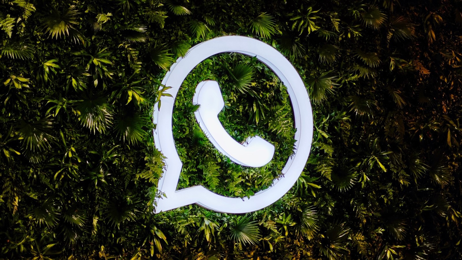 WhatsApp's new feature, 'Disappearing Messages': How to better protect user privacy. How to improve the accuracy and effectiveness of cross-border SMS marketing?
